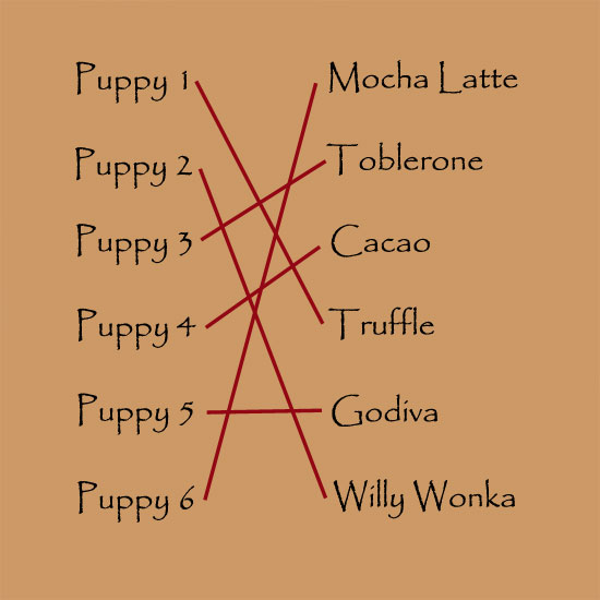 Puppy Names