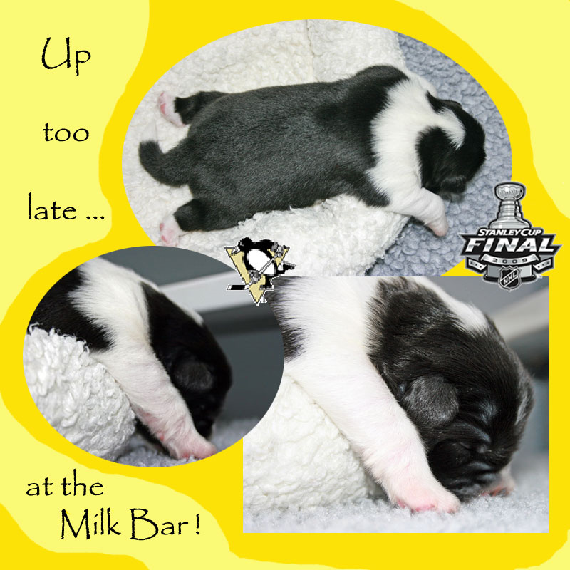 Up to late at the Milk Bar