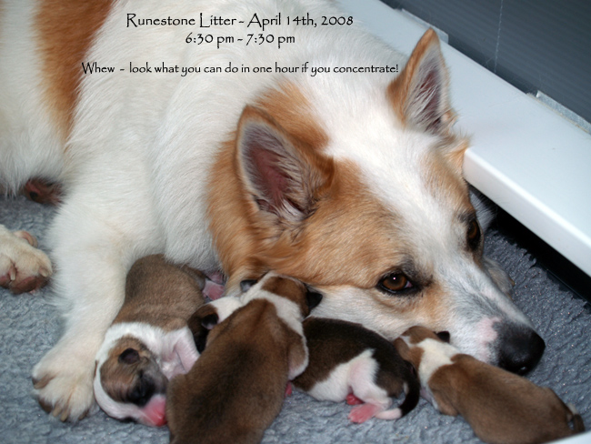 Misty announcing the births
