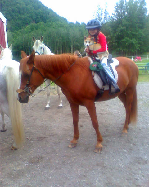 Keilir in the saddle